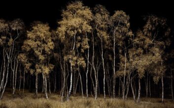 James Chen - LUX Magazine